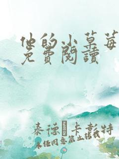 他的小草莓全文免费阅读