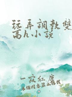 玩弄调教双胞胎高h小说