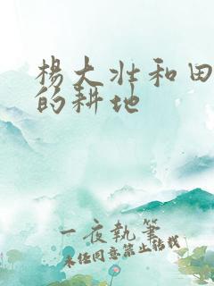 杨大壮和田桂花的耕地