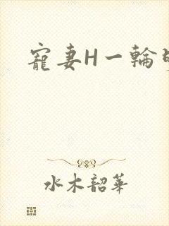 宠妻H一轮明月