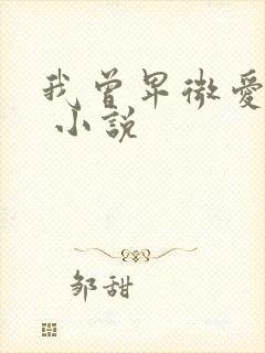 我曾卑微爱过你 小说