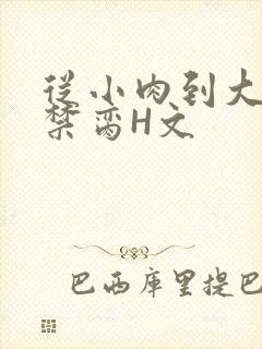 从小肉到大师傅禁脔H文