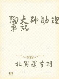 陶大帅助理子豪车祸