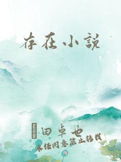 存在小说
