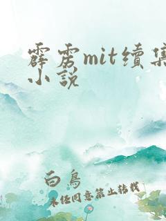 霹雳mit续集小说