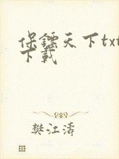 保镖天下txt下载