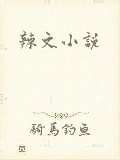 辣文小说