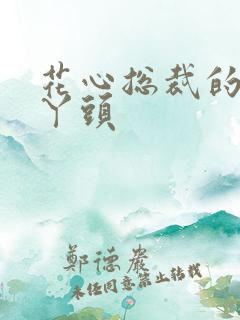 花心总裁的小小丫头