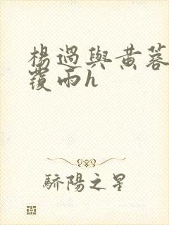 杨过与黄蓉翻云覆雨h