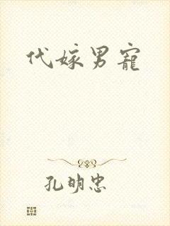 代嫁男宠