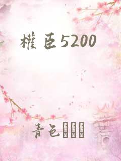 权臣5200