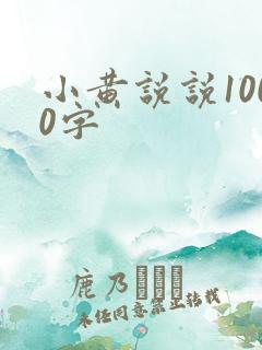 小黄说说1000字