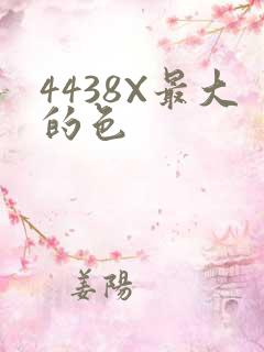 4438X最大的色