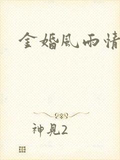 金婚风雨情下载