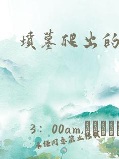 坟墓爬出的士兵