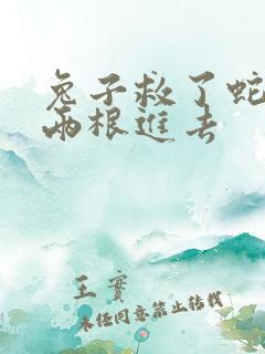 兔子救了蛇被蛇两根进去