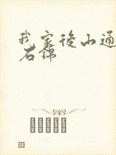 我家后山通仙界石锦