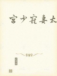 宫少宠妻太凶猛