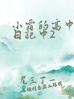 小霜的高中成长日记中2