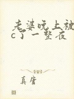 老婆晚上被躁狂c了一整夜