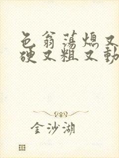 色翁荡熄又大又硬又粗又动态图