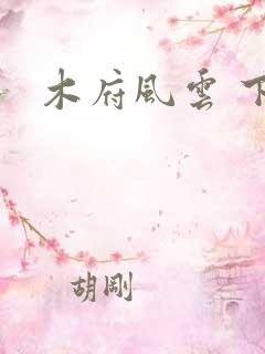 木府风云 下载