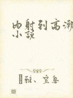 内射到高潮的H小说