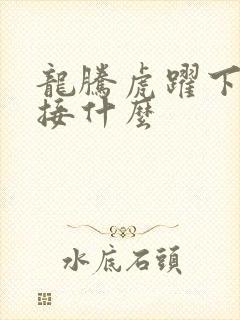 龙腾虎跃下一句接什么