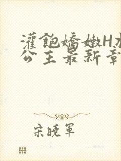 灌饱娇嫩H将军公主最新章节