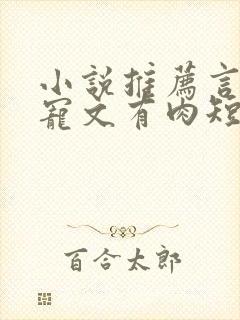 小说推荐言情甜宠文有肉短篇完结