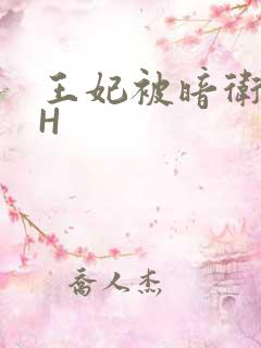 王妃被暗卫肉高H