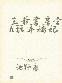 王爷书房含乳尖h玩弄娇妃