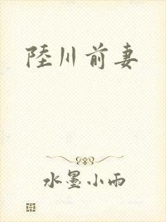 陆川前妻