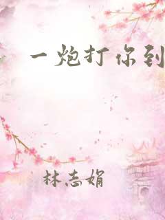 一炮打你到天亮