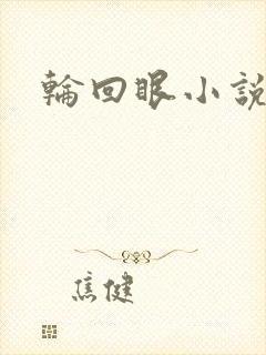 轮回眼小说