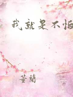 我就是不怕小说