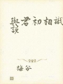 与君初相识 小说