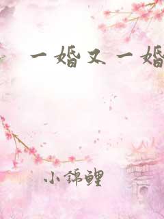 一婚又一婚