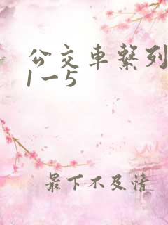 公交车系列合集1一5