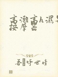 高潮高h湿各种按摩器