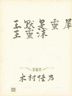 王默是灵犀阁公主灵沫