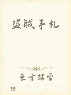 盗贼手札