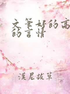 文笔好的高质量的言情