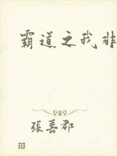 霸道之我非英雄