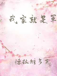 我家就是军火铺