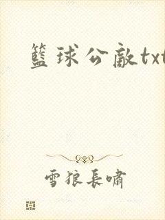 篮球公敌txt