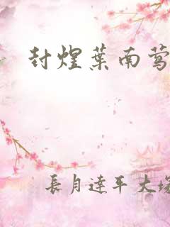 封煜叶南莺小说