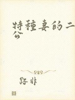 特种妻的二手老公