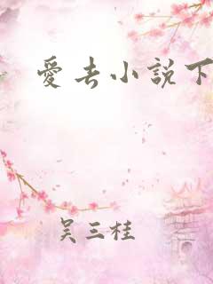 爱去小说下载网