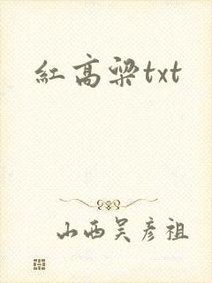 红高粱txt